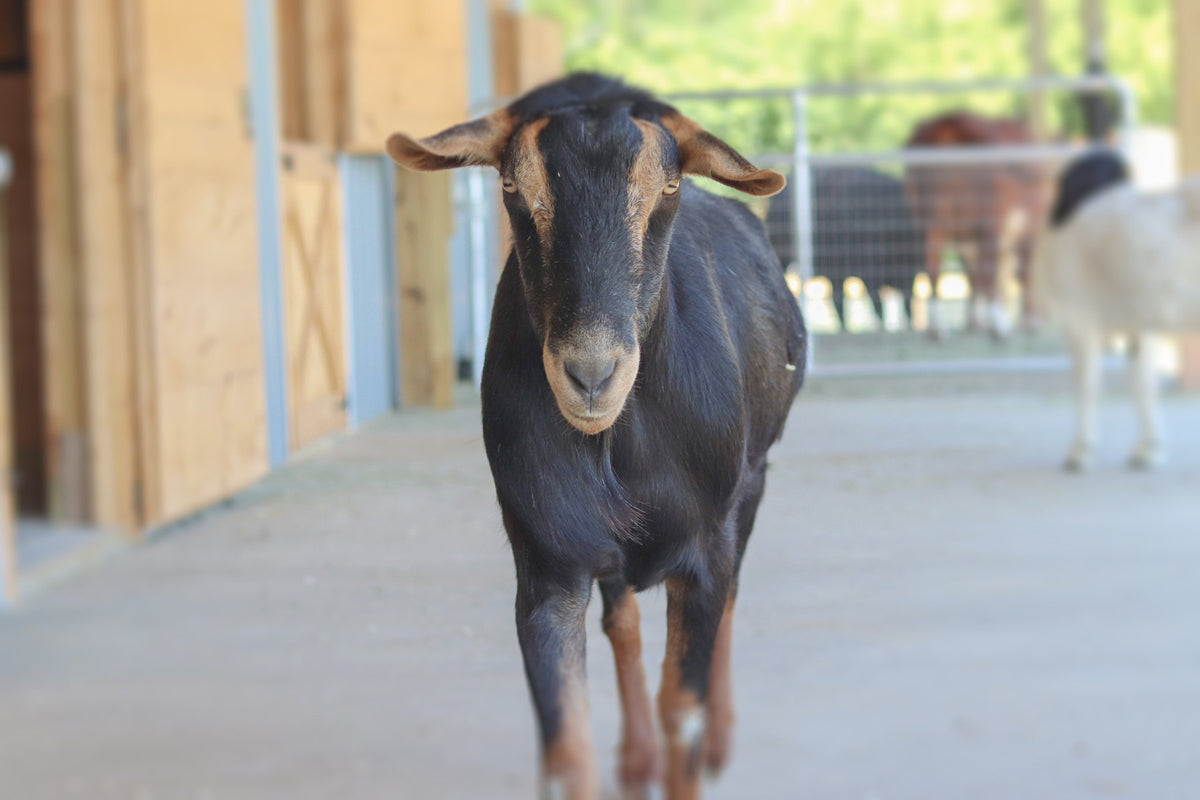 Join the Low Waste Living Club