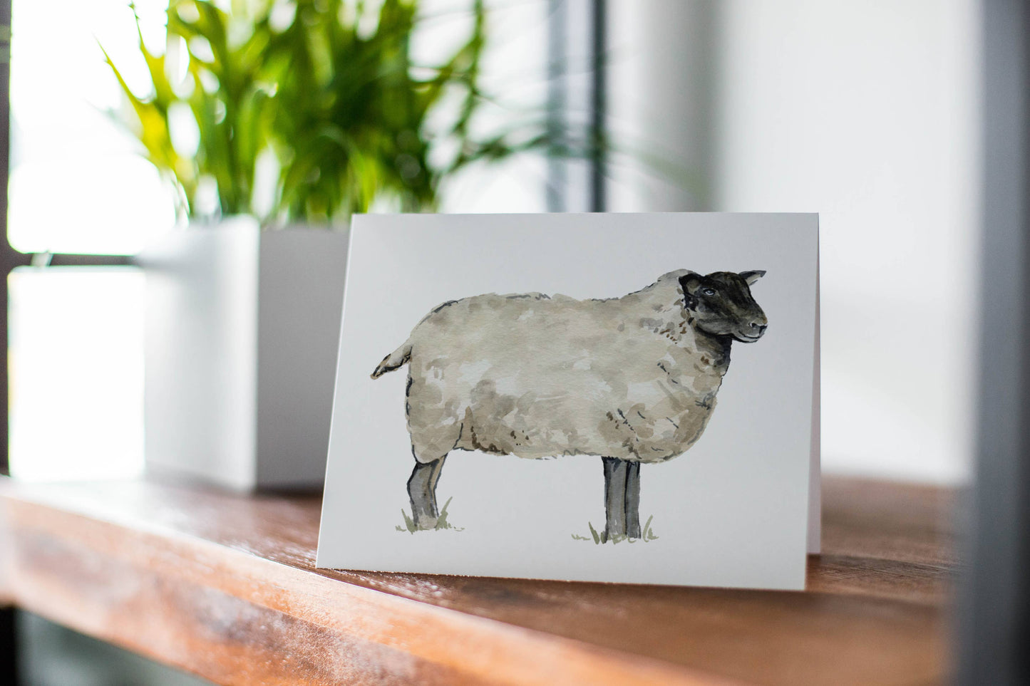 Sheep Greeting Card