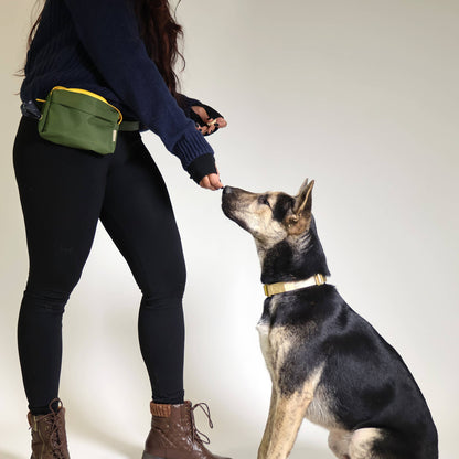 Dog Walking Fanny Pack