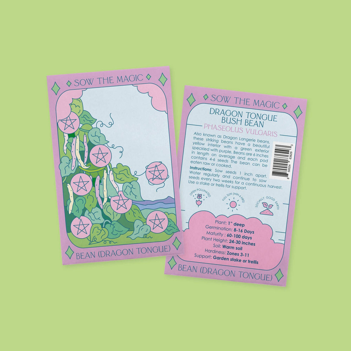 Dragon Tongue Bush Bean Tarot Garden