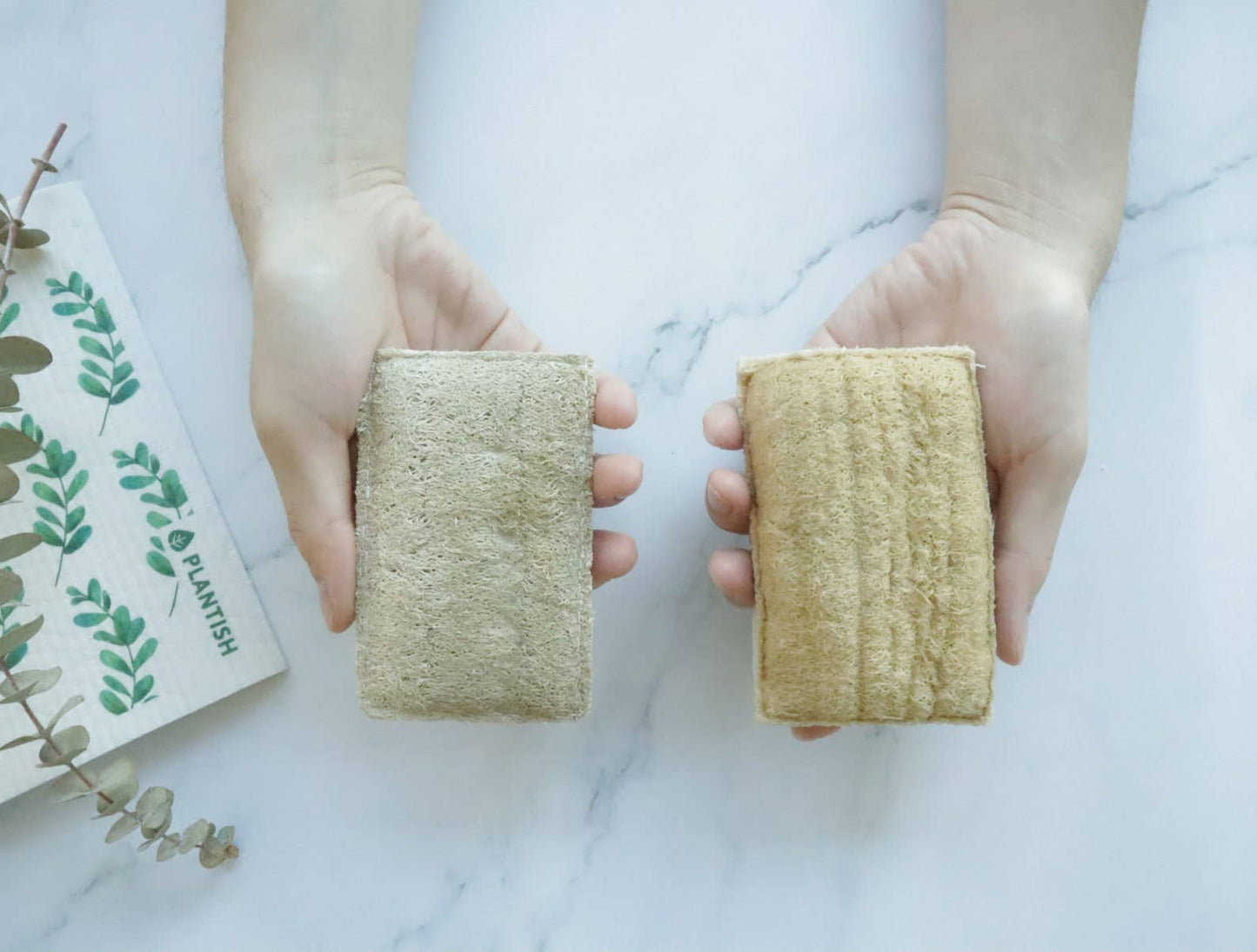 Eco Sponge (set of 2)