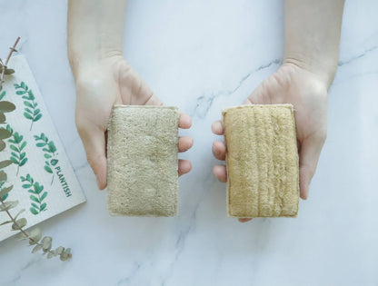Eco Sponge (set of 2)