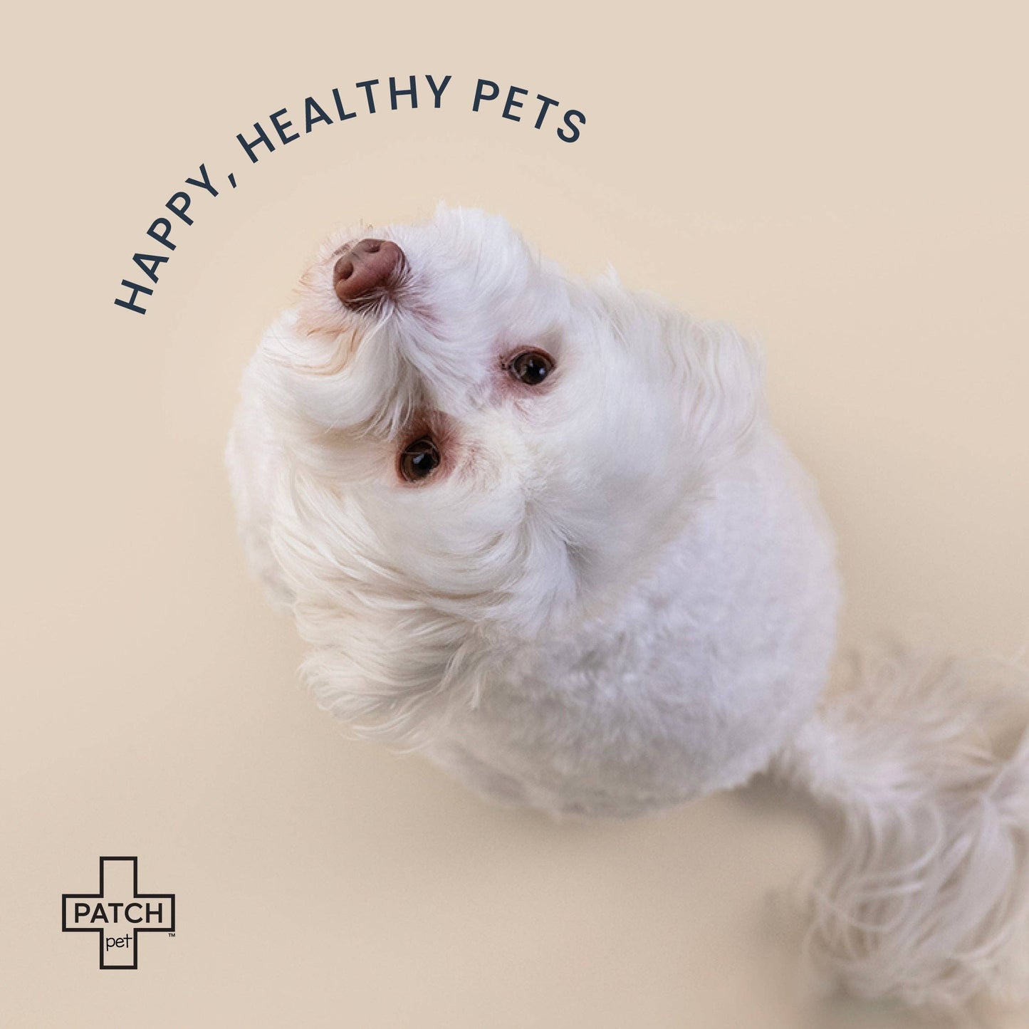 On-The-Go Travel Bandage Kit For Pets