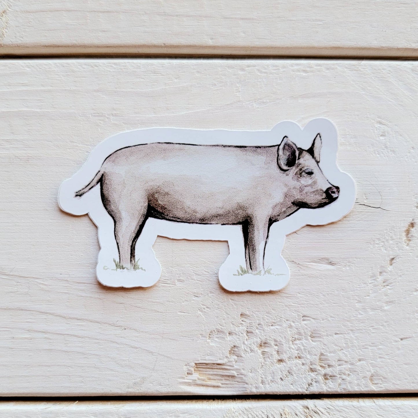 Pig Vinyl Sticker