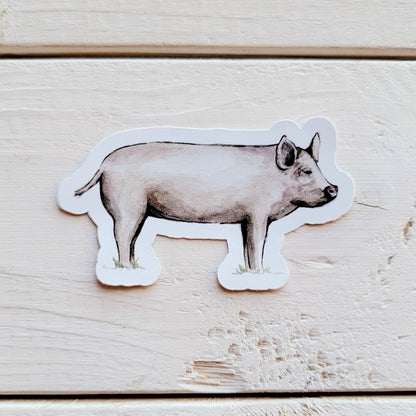 Pig Vinyl Sticker