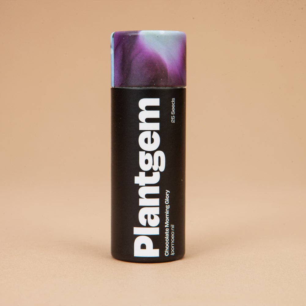 Chocolate Morning Glory - 20 Seeds