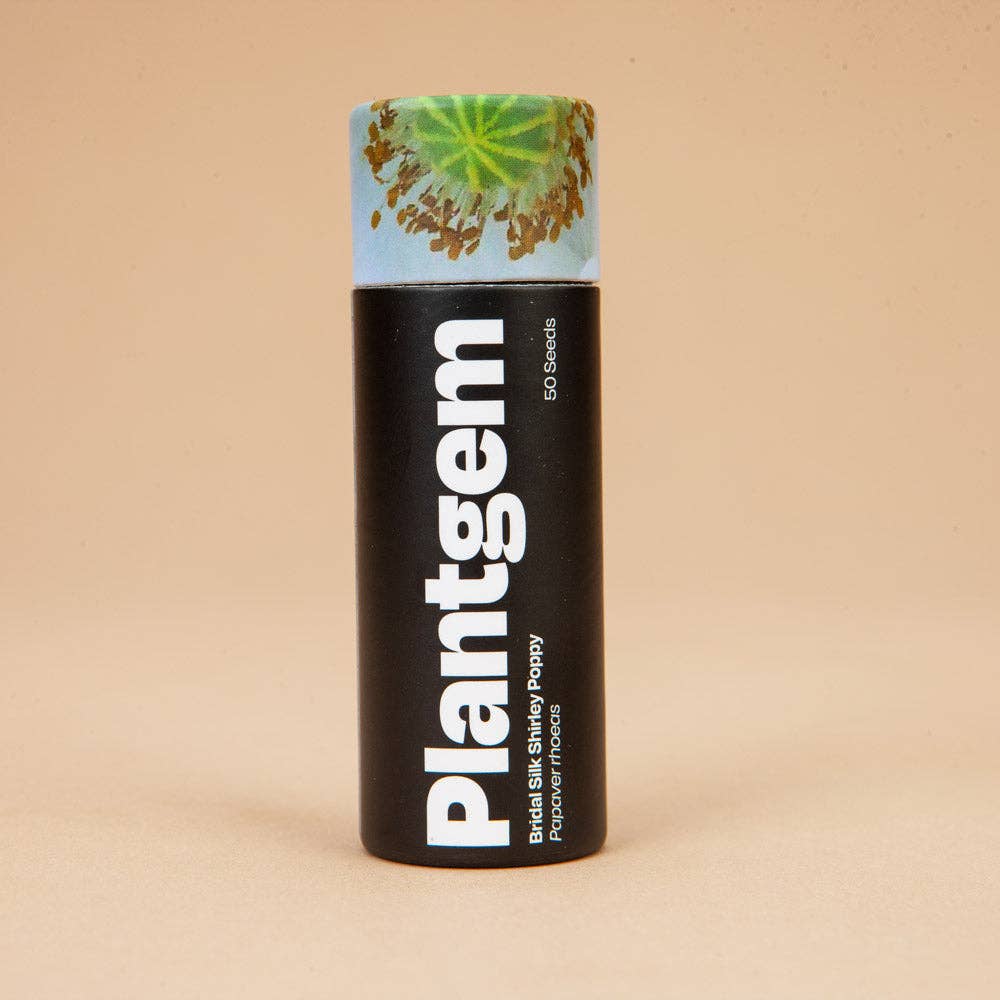 Shirley Poppy Bridal Silk - 100 Seeds