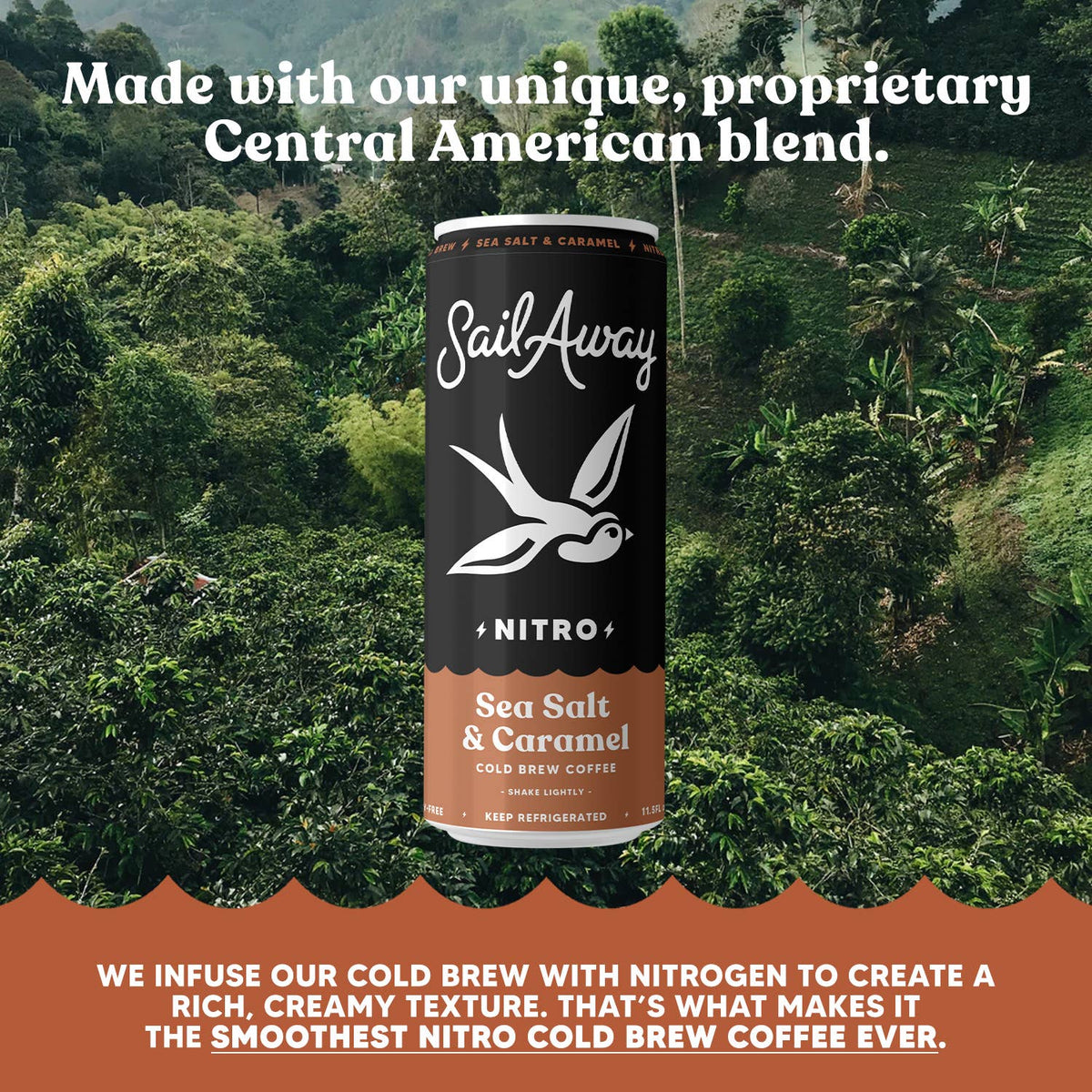 Cold Brew Coffee Cans - Sea Salt & Caramel