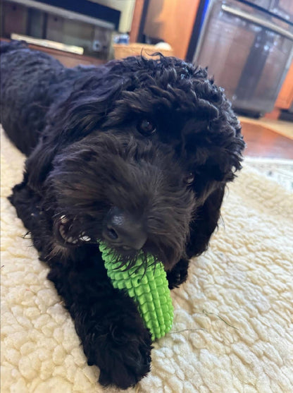 Corn-Shaped Dental Chew Dog Toy