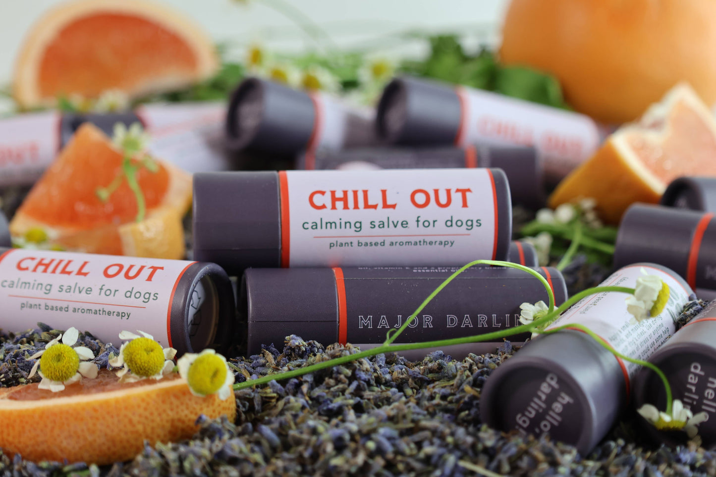 Pet Chill Out Calming Salve