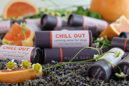 Pet Chill Out Calming Salve