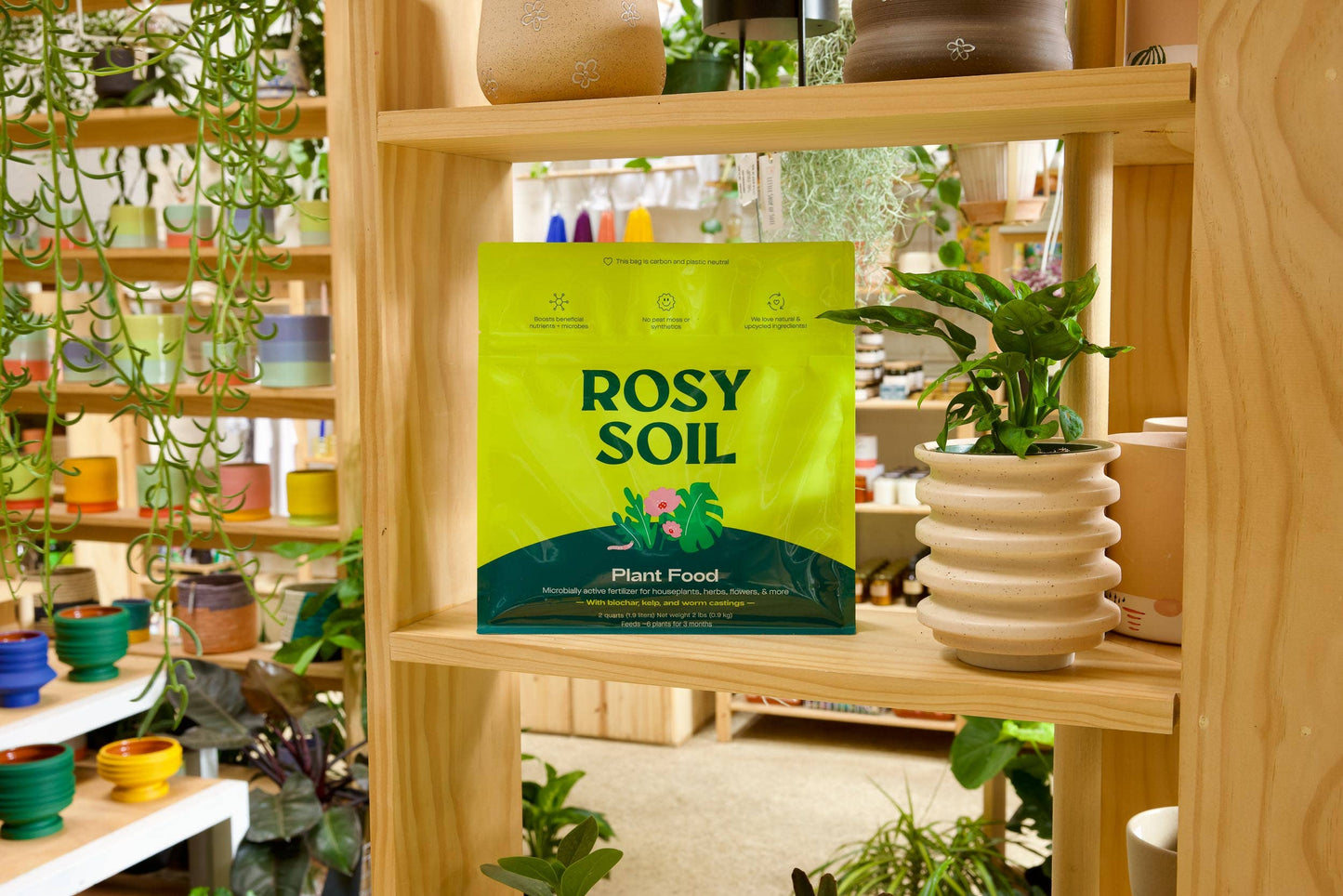 2qt Plant Food