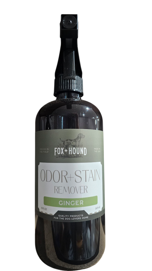 Pet Odor + Stain Remover