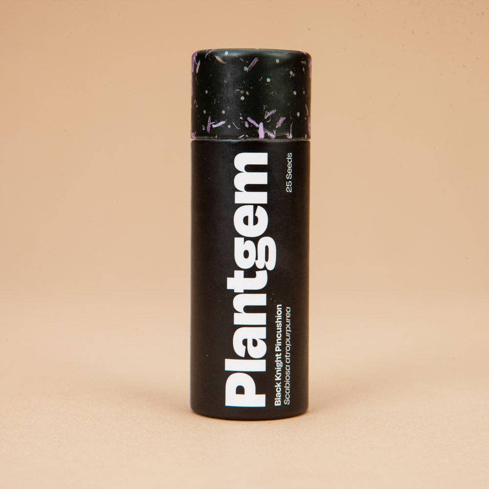 Scabiosa Black Knight - 100 Seeds