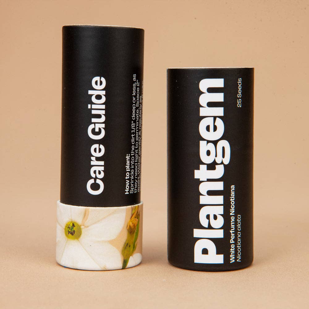 White Perfume Nicotiana - 50 Seeds