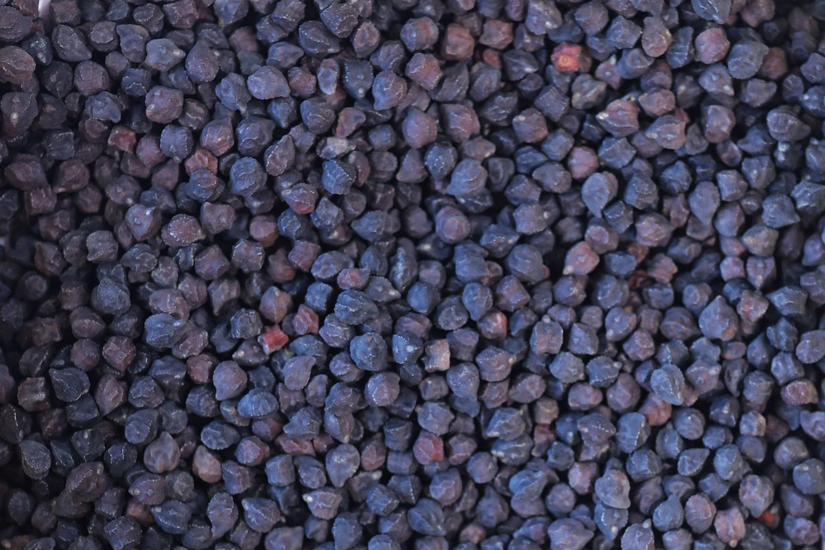 Rancho Gordo Black Garbanzo Beans