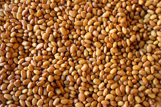 Rancho Gordo Buckeye Bean