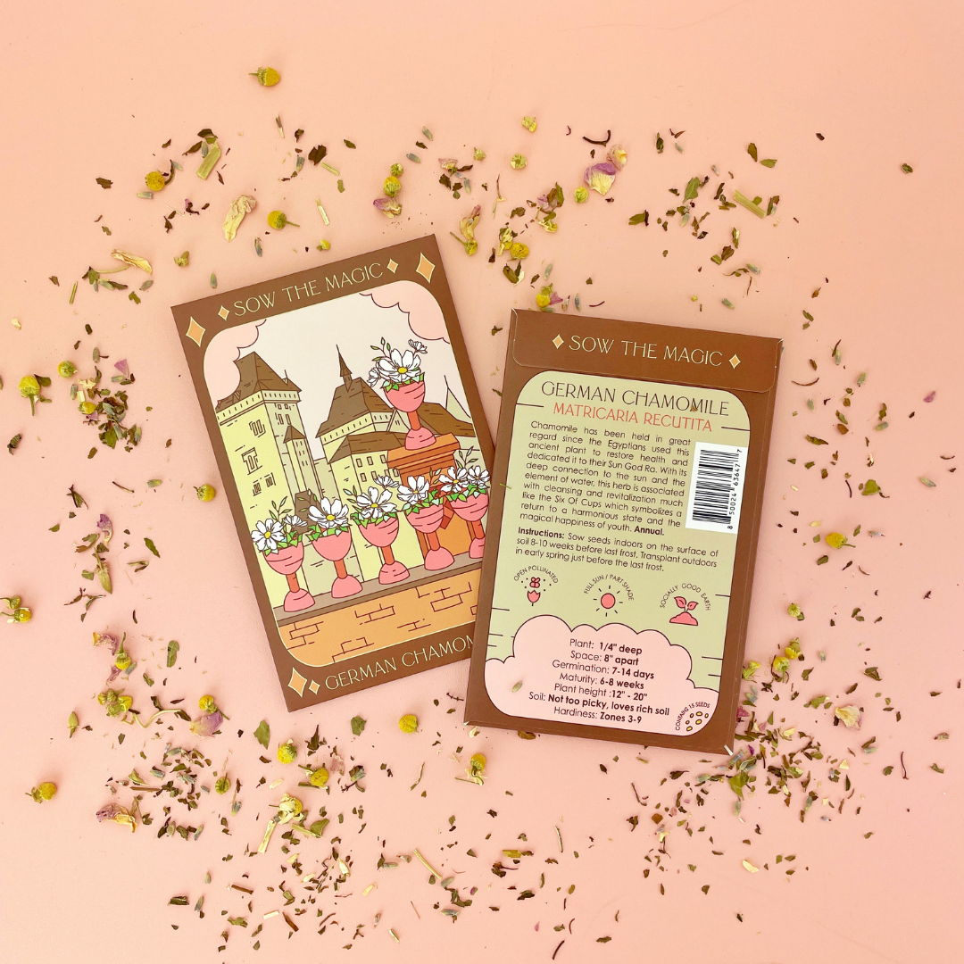 German Chamomile Tarot Garden