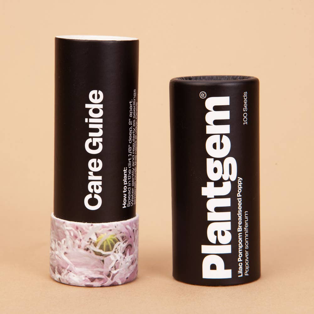 Breadseed Poppy Lilac Pompom - 50 Seeds