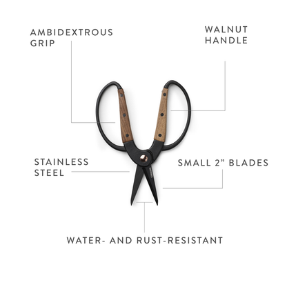 Garden Scissors, Small