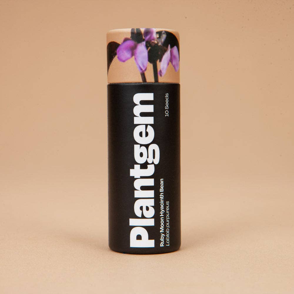 Ruby Moon Hyacinth Bean - 10 Seeds