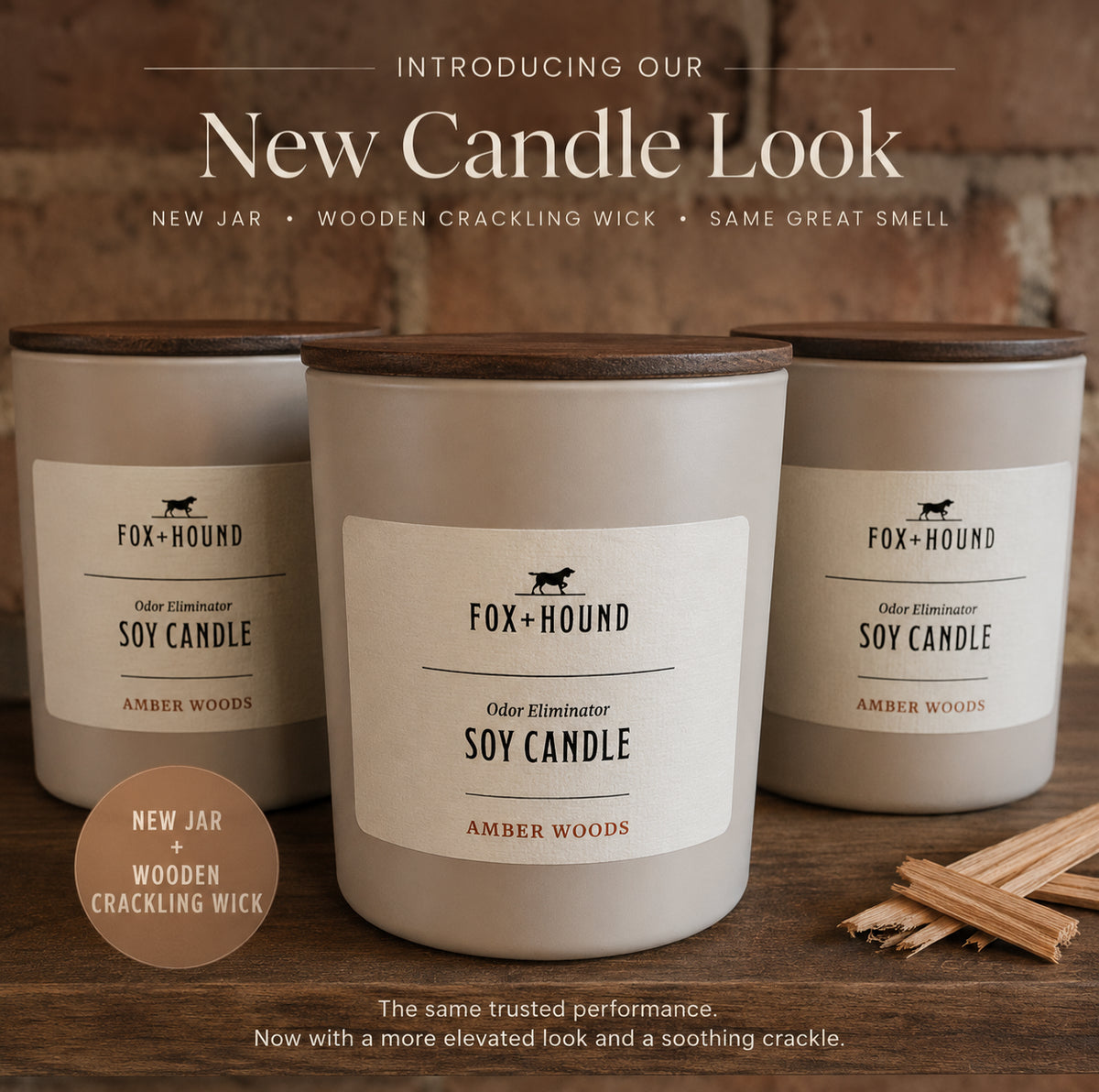 Fox & Hound Odor Eliminator Candle, Rio