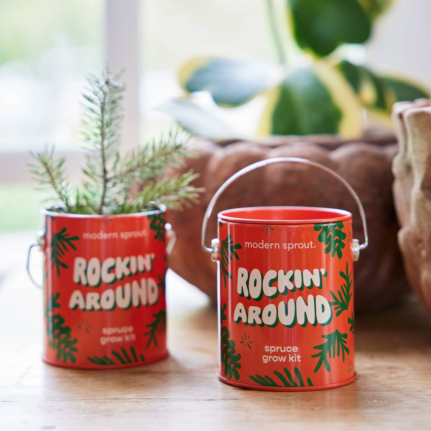 Holiday Complimentary Colors Grow Kits