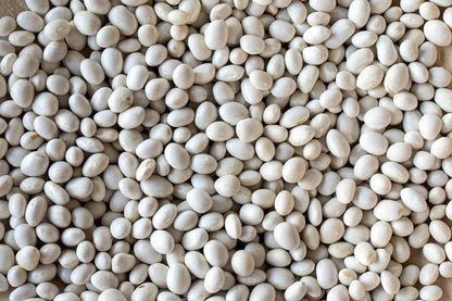 Rancho Gordo Caballero Bean