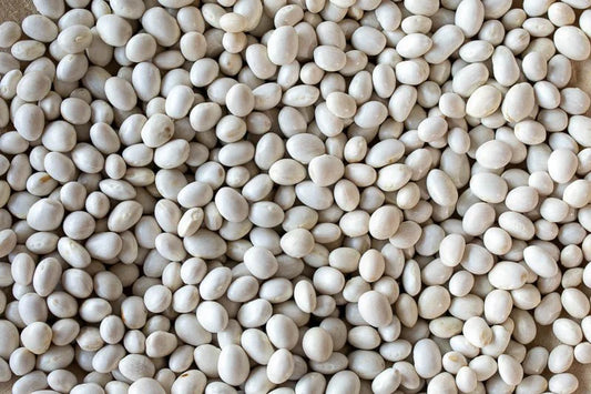 Rancho Gordo Caballero Bean