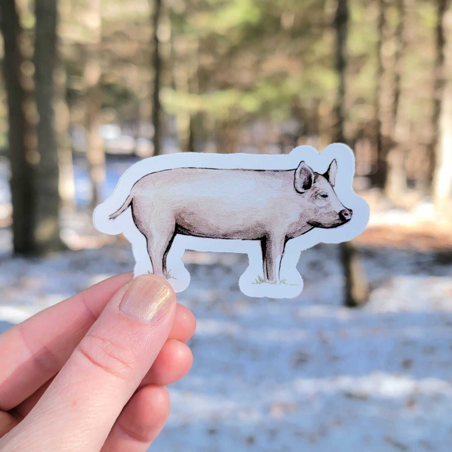 Pig Vinyl Sticker
