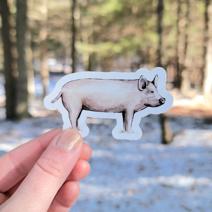 Pig Vinyl Sticker