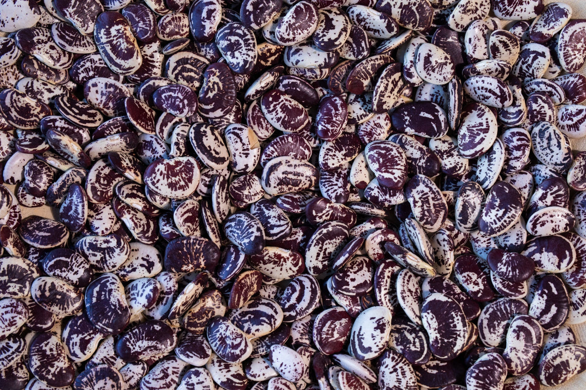 Rancho Gordo Christmas Lima Beans
