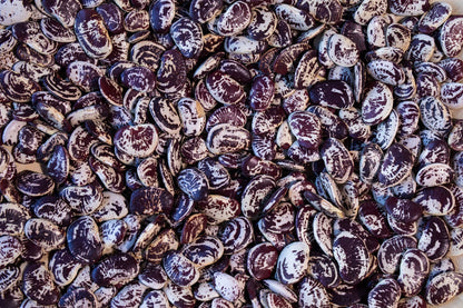 Rancho Gordo Christmas Lima Beans