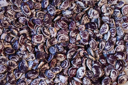 Rancho Gordo Christmas Lima Beans