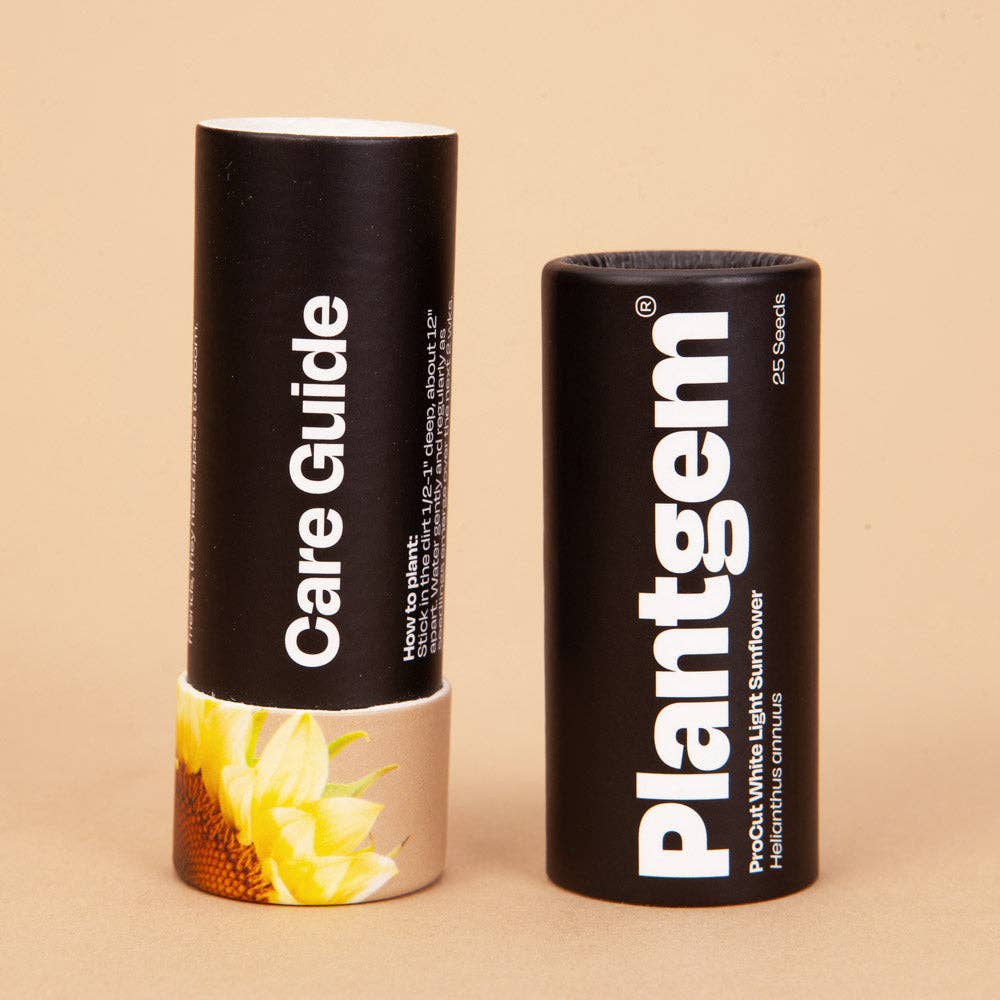 ProCut White Light Sunflower - 25 Seeds