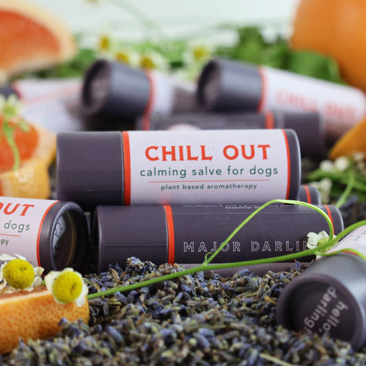 Pet Chill Out Calming Salve
