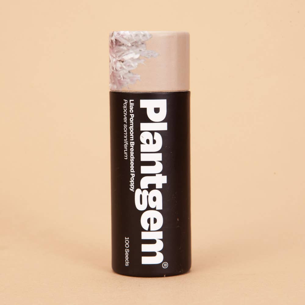 Breadseed Poppy Lilac Pompom - 50 Seeds