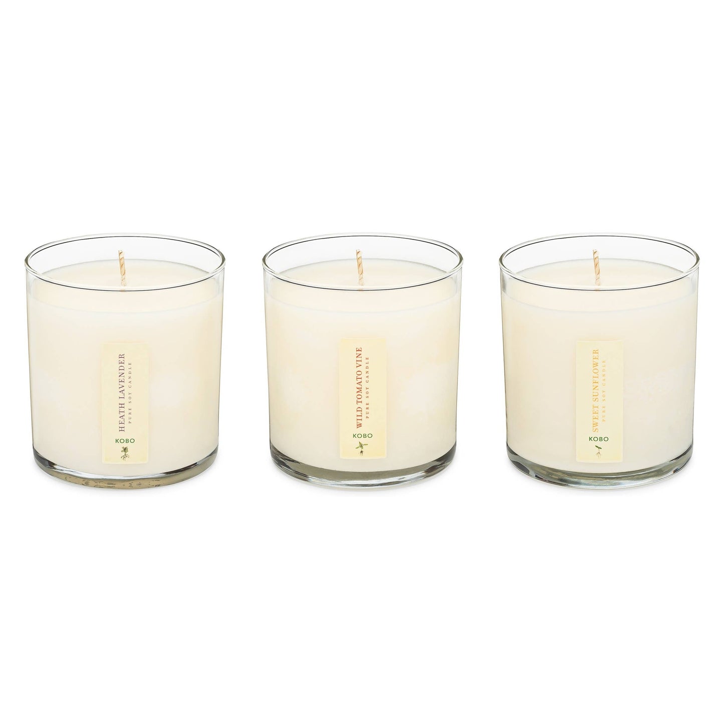 Plant the Box Votive Candle Trio, Endless Summer
