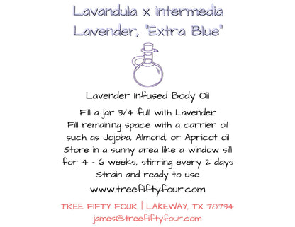 Lavender Sachet