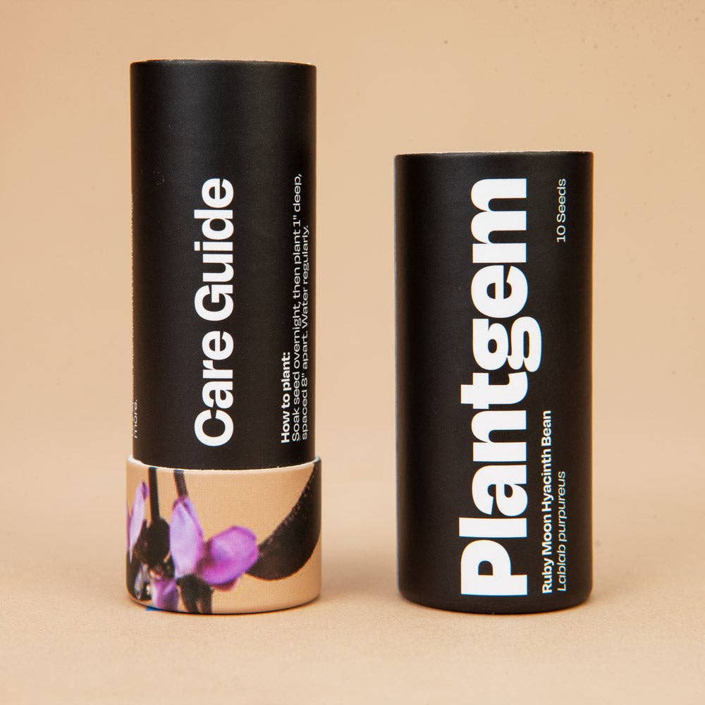 Ruby Moon Hyacinth Bean - 10 Seeds