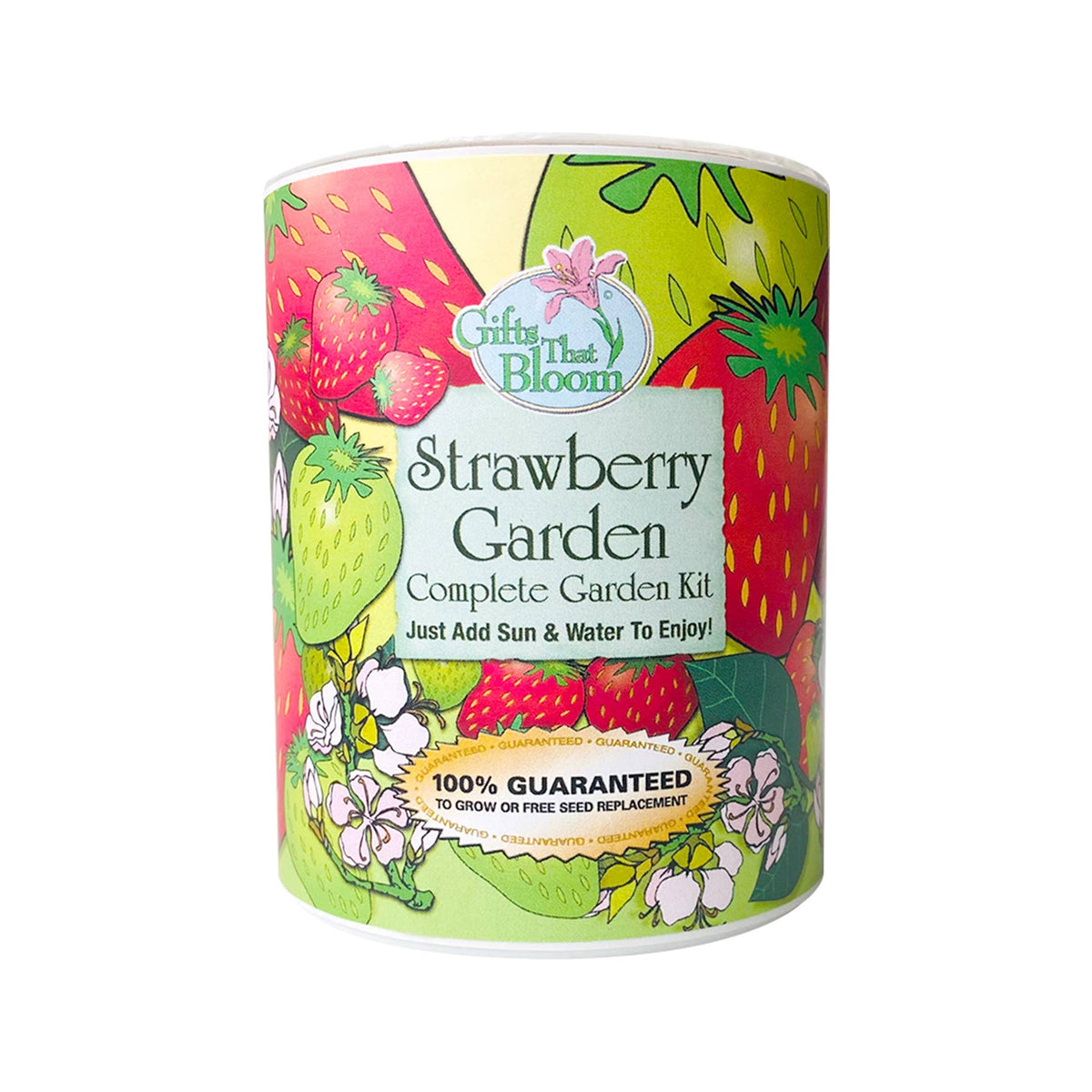 Strawberry Garden Seed Kit