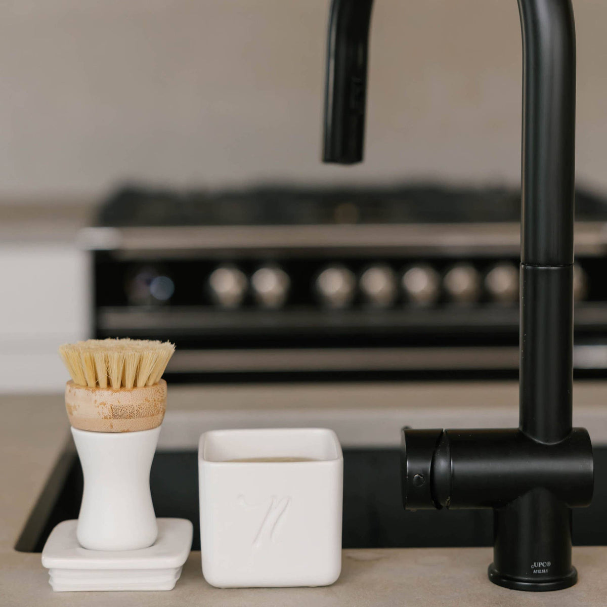 Forever Brush - Dish Cleaning Brush