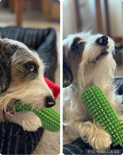 Corn-Shaped Dental Chew Dog Toy