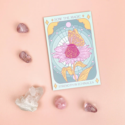 Strength in Echinacea Flower Tarot Garden