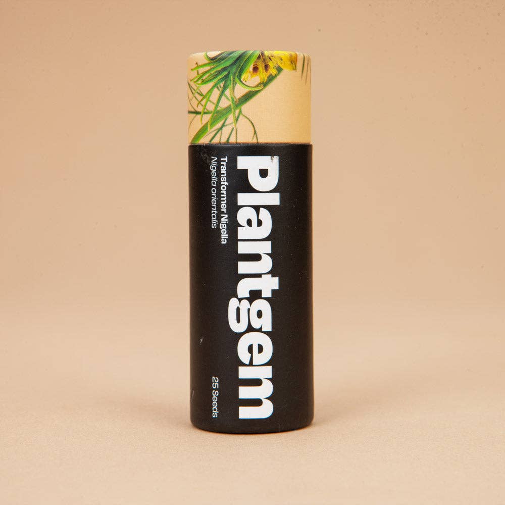 Transformer Nigella - 100 Seeds