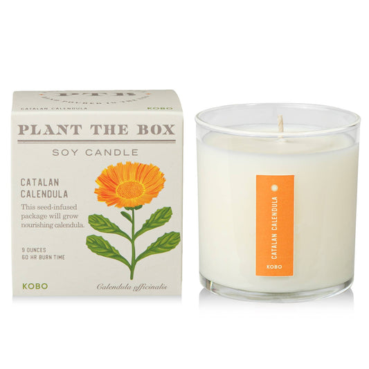 Plant the Box Candle, Catalan Calendula