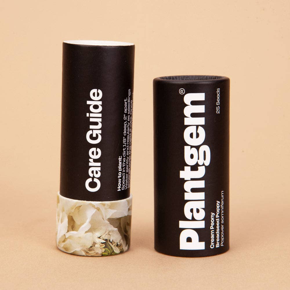 Cream Peony Breadseed Poppy - 25 Seeds