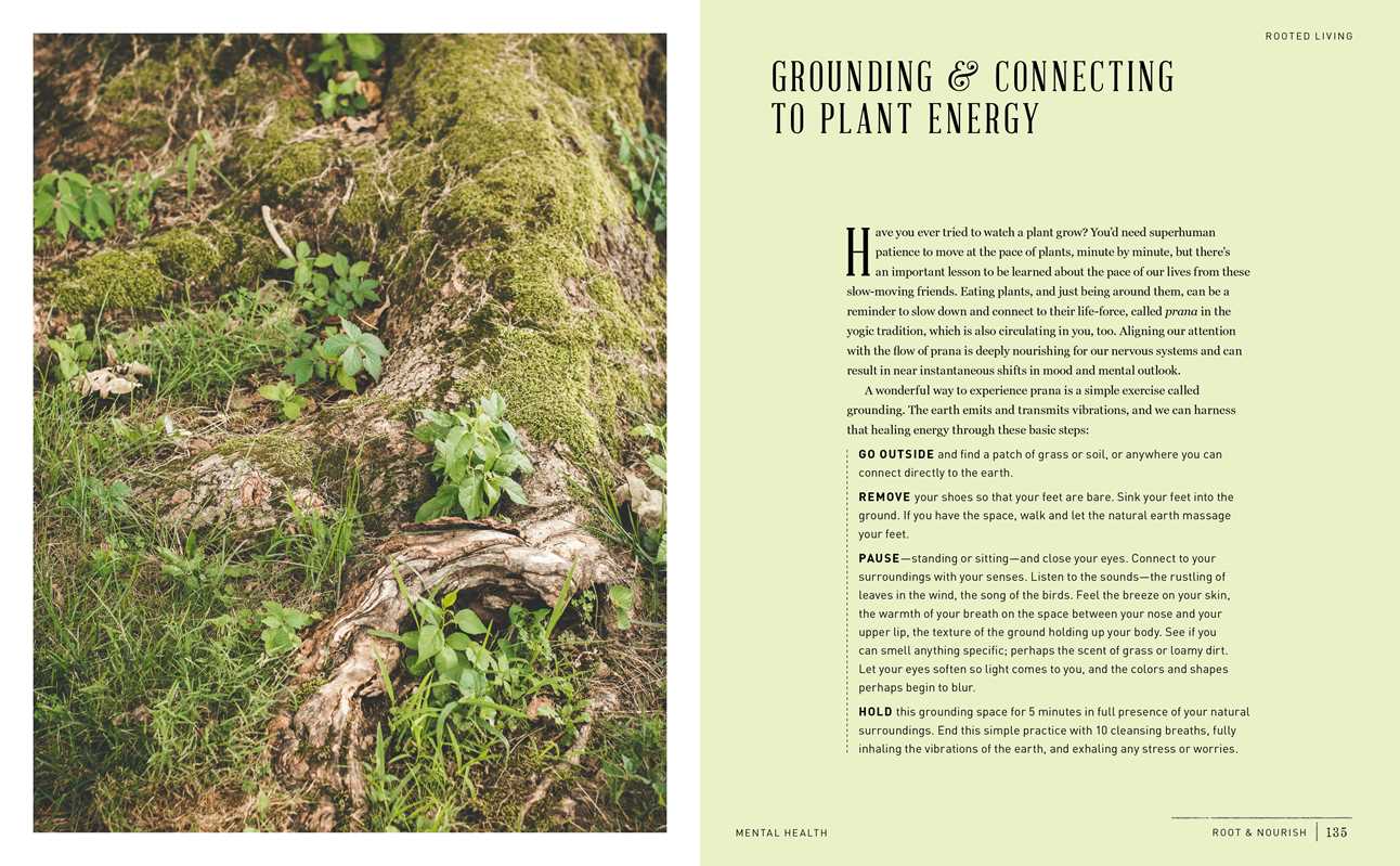 Root & Nourish Cookbook