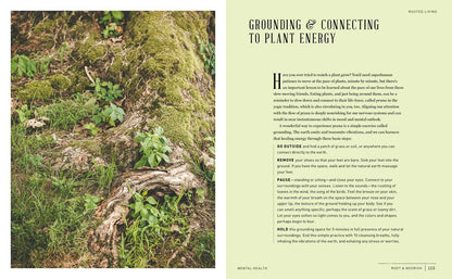 Root & Nourish Cookbook