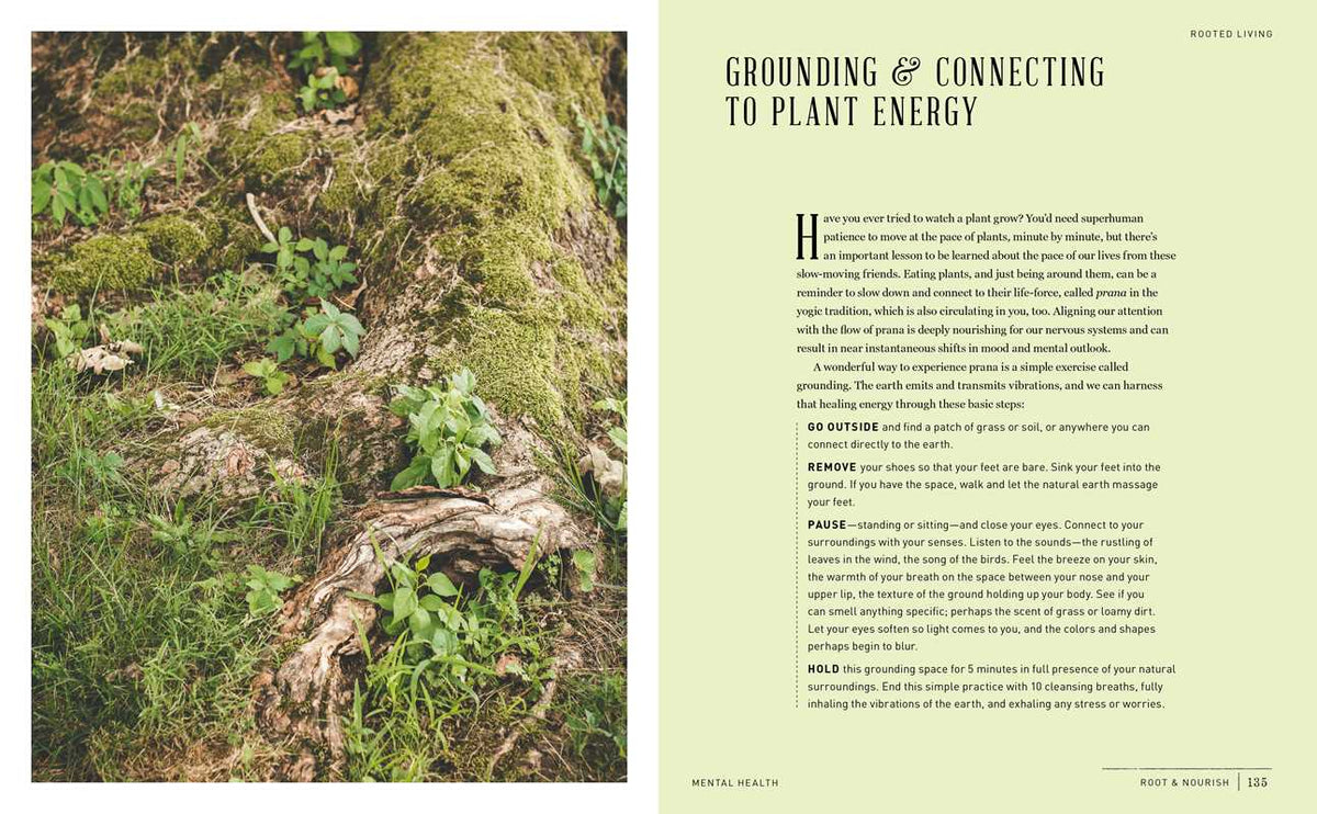 Root & Nourish Cookbook